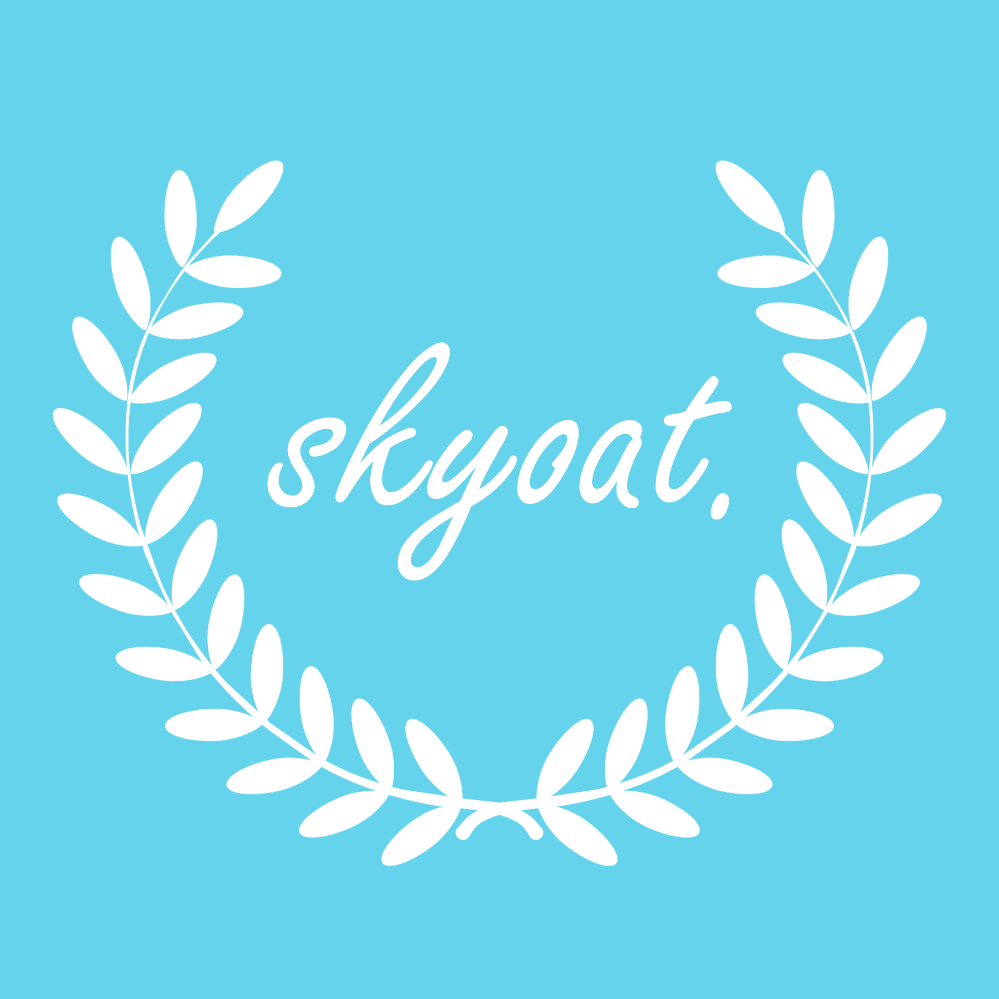 Skyoat logo